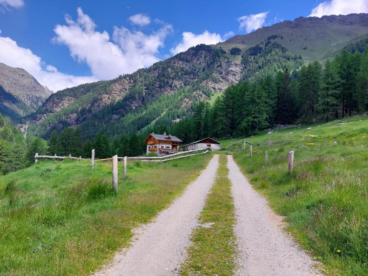 Agriturismo Malga Pontevecchio Cogolo Esterno foto